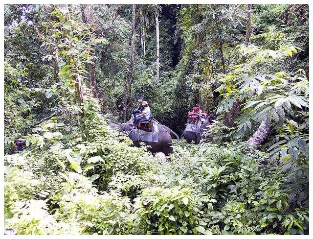 好房出租 - 图片 3