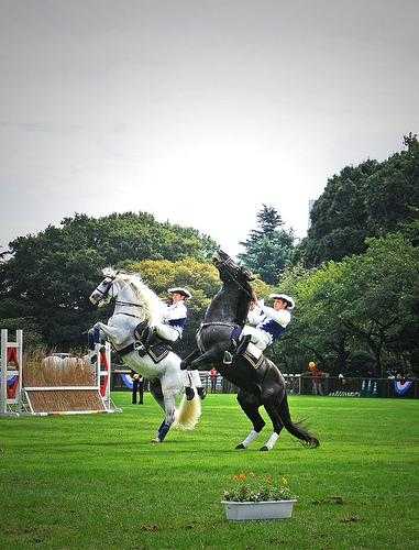 好房出租 - 图片 4